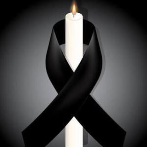 Meet your Posher, Marlene